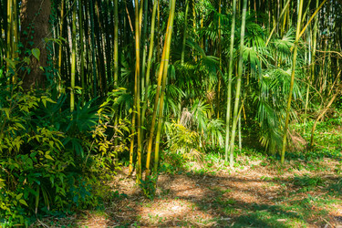 Similar image 22469689