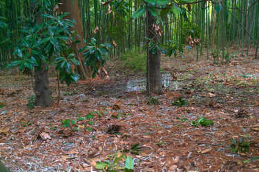 Similar image 22469690