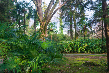 Similar image 22469691