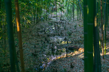 Similar image 22469700