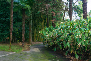 Similar image 22469701