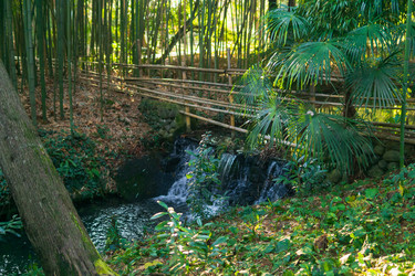 Similar image 22469702