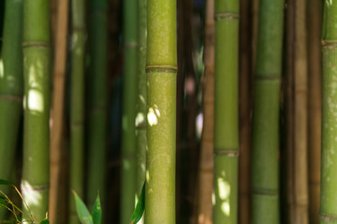 Similar image 22469703