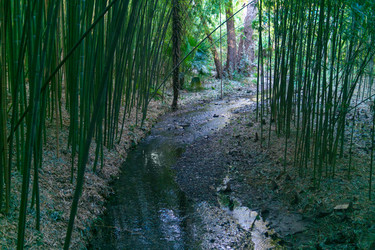 Similar image 22469704