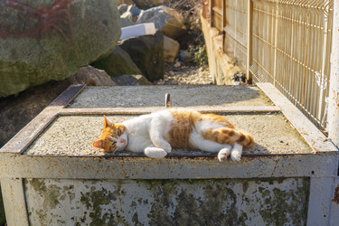 Similar image 22469705