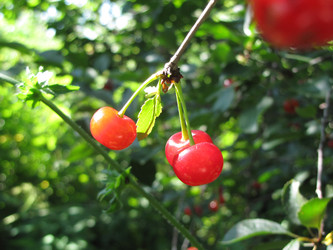 Similar image 22464658