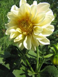 Similar image 22464659