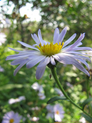 Similar image 22464660