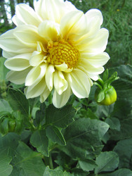 Similar image 22464673