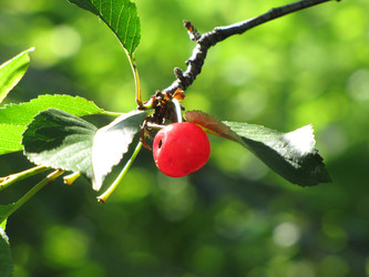 Similar image 22464674