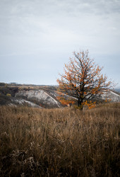 Similar image 22464542