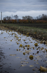 Similar image 22464543