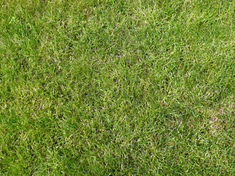 Similar image 22464571