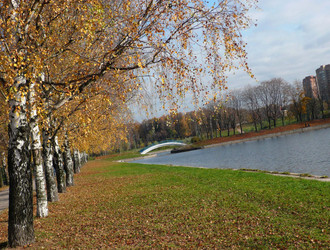 Similar image 22464573