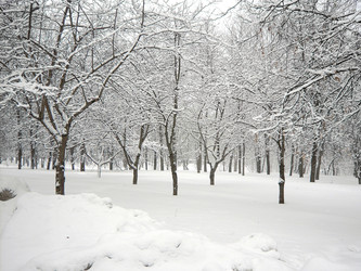 Similar image 22464577