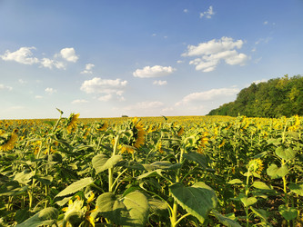 Similar image 22464676