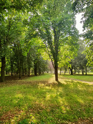 Similar image 22464678