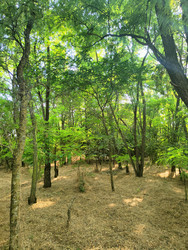 Similar image 22464679