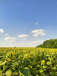 Similar image 22464681