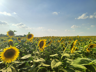 Similar image 22464682