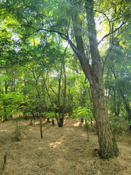 Similar image 22464684