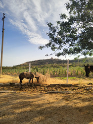 Similar image 22464686