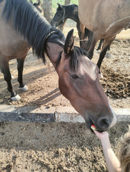 Similar image 22464687