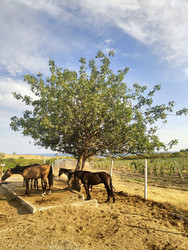 Similar image 22464693