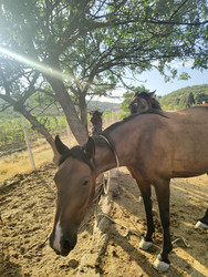 Similar image 22464701