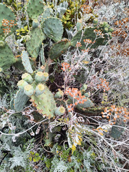 Similar image 22464703