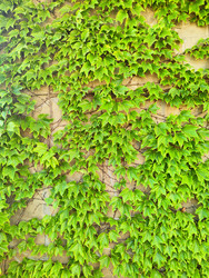 Similar image 22464705