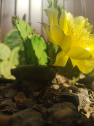 Similar image 22464707