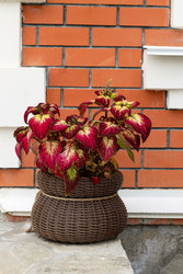 Similar image 22464580