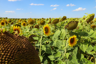 Similar image 22464581