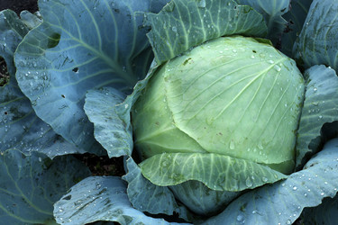 Similar image 22464582