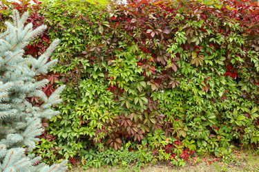 Similar image 22464584