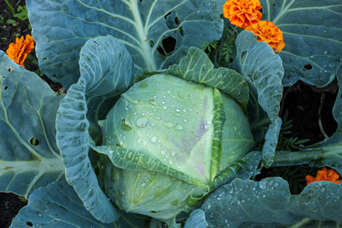 Similar image 22464586