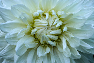 Similar image 22464587