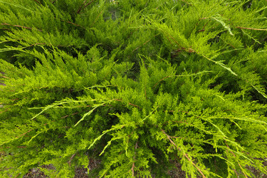 Similar image 22464588