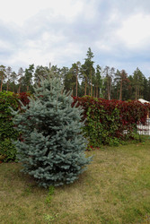 Similar image 22464589