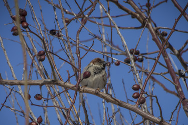 Similar image 22469584