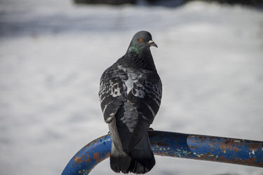 Similar image 22469585