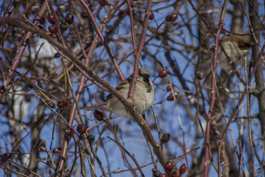 Similar image 22469588