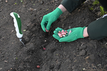 Similar image 22464634