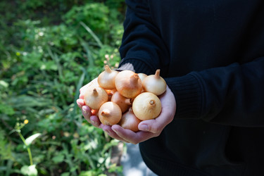 Similar image 22464636