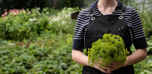 Similar image 22464639