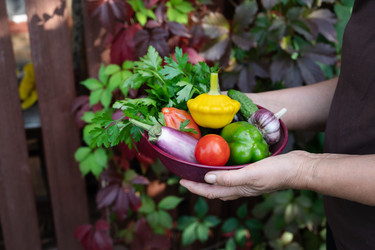 Similar image 22464641