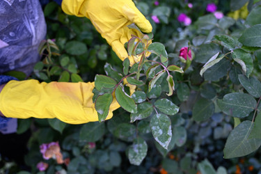 Similar image 22464645