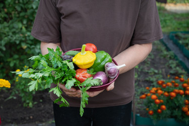 Similar image 22464647