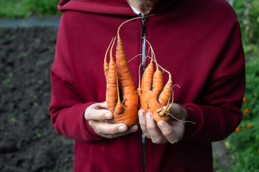 Similar image 22464663